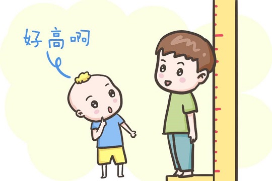 怎么长高个子