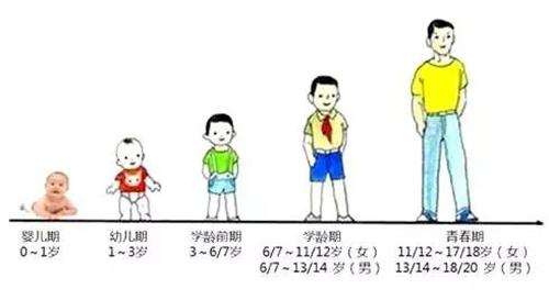 怎么才能长高个子